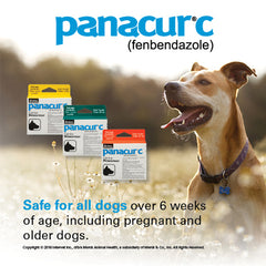 Panacur C Canine Dewormer Three 2 Gram Packages Fenbendazole<BR>파나큐어 C 2그램 3팩 팬벤다졸 구충제