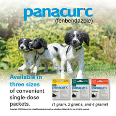 Panacur C Canine Dewormer Three 2 Gram Packages Fenbendazole<BR>파나큐어 C 2그램 3팩 팬벤다졸 구충제